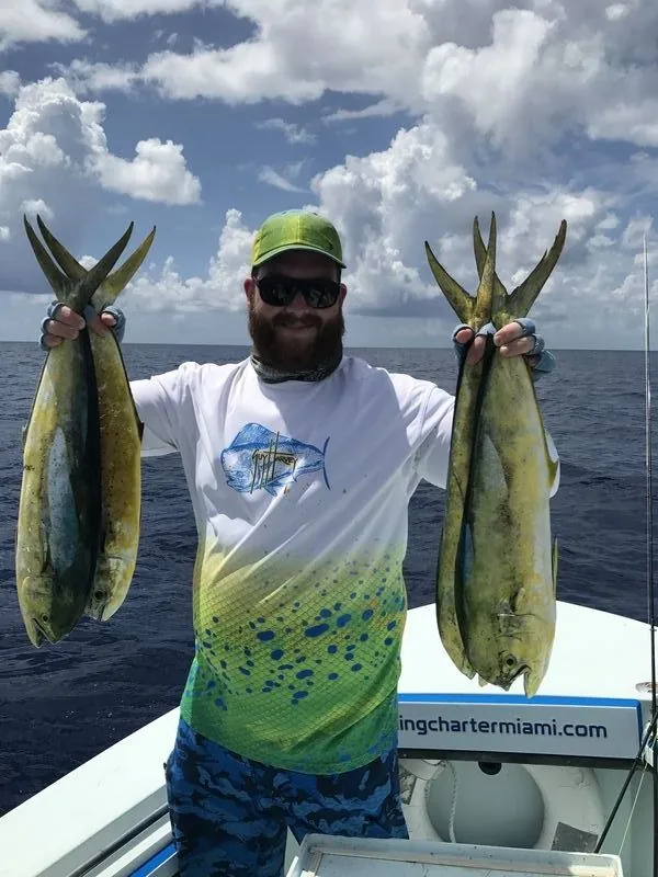 Mahi-Mahi fishing in Miami