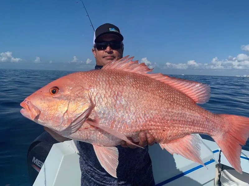 Snapper fishing in Miami