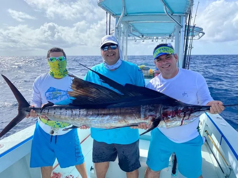 Live Bait & Kite Fishing in Miami