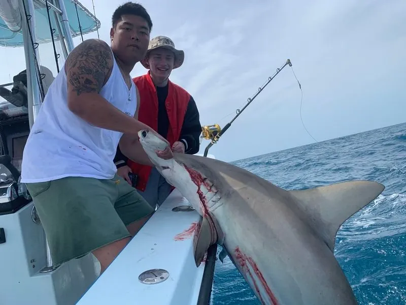 Shark fishing in Miami