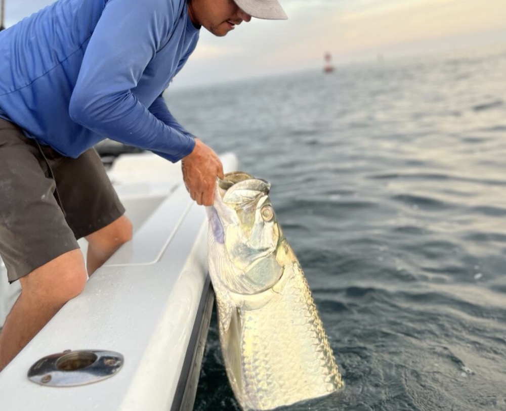 Top 10 Fishing Spots in Biscayne Bay for Catching Tarpon