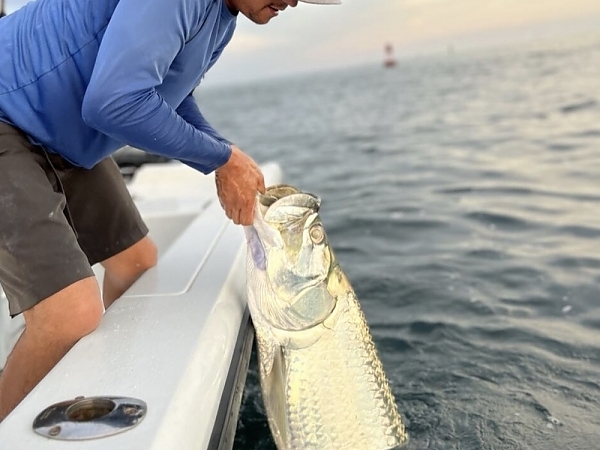 Top 10 Fishing Spots in Biscayne Bay for Catching Tarpon