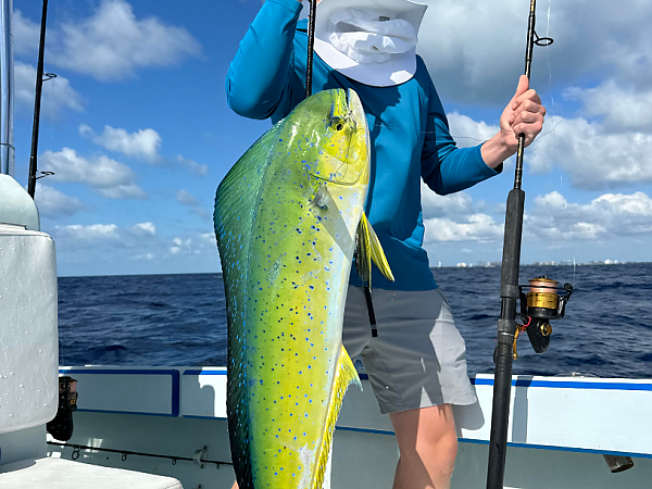 Best Bait and Lures for Catching Mahi-Mahi in Miami Waters