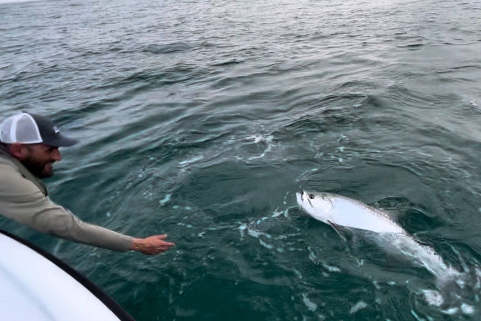 Tarpon Fishing